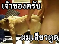 หนุ่มเกย์ไทยทางบ้านสุดหื่นเย็ดตูดหมาแดงตัวผู้พอน้ำแตกให้หมาเลียควยกินน้ำอสุจิอย่างเอร็ดอร่อย